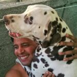 maltrato animal