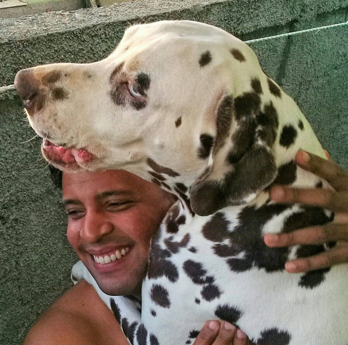 maltrato animal