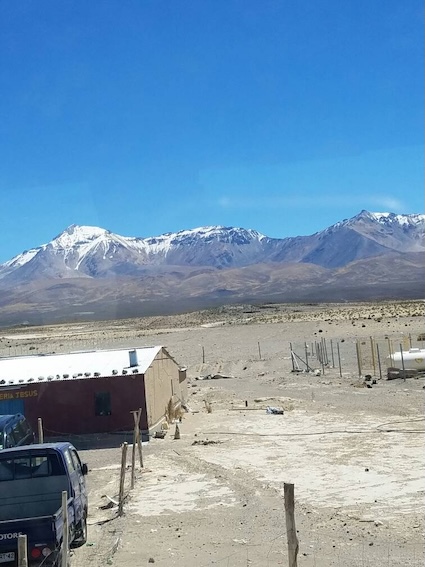 refugio político en frontera de chile
